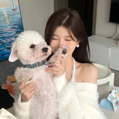 恋爱吧，寨主